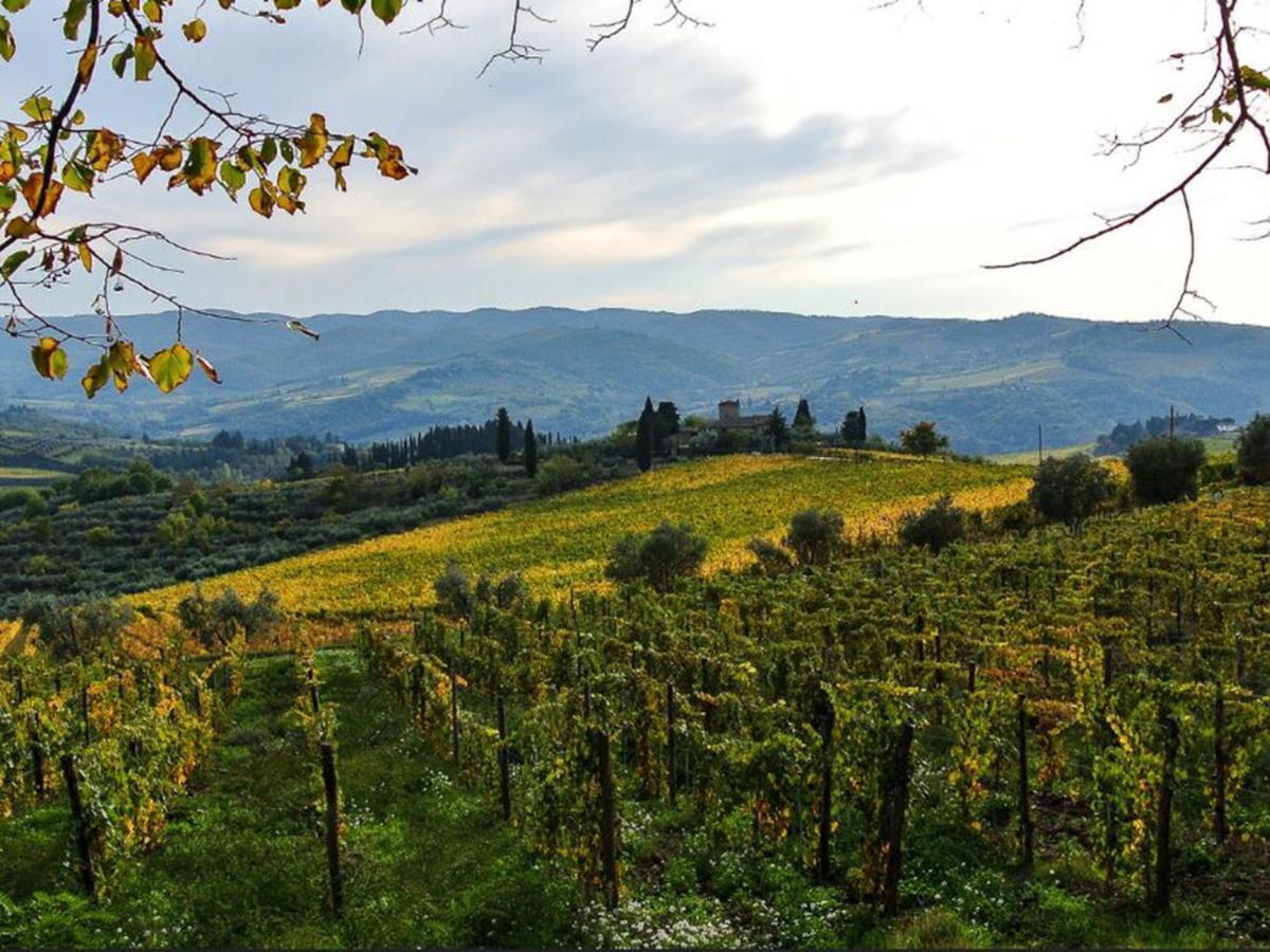 Holiday Home Locazione Turistica Selvapiana By Interhome Greve in Chianti Zewnętrze zdjęcie